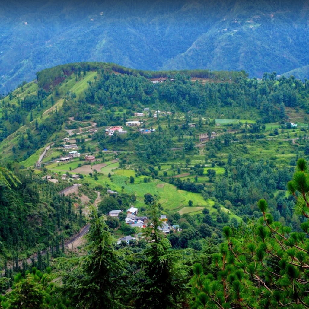 Shimla: Where the Hills Whisper Stories naldehra 2 1024x1024
