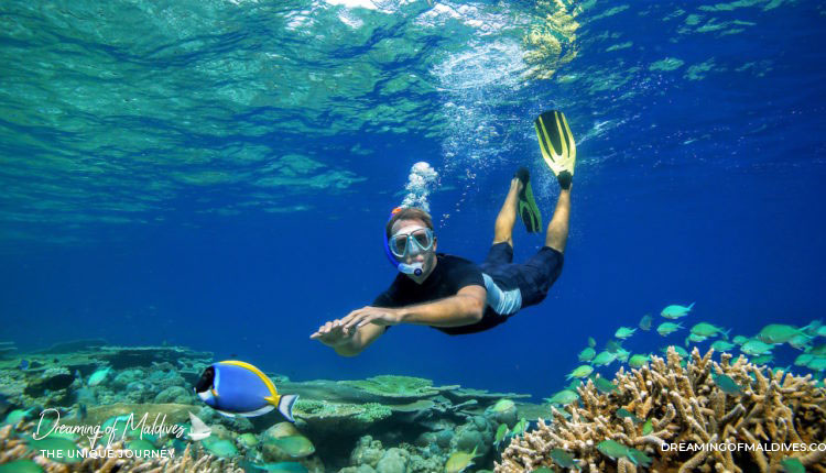 Maldives: A Slice of Paradise on Earth snorkeling - Best Places to Visit in Maldives